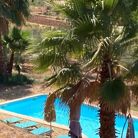 La Venturonne Appartement Neuf Rez De Jardin 45 M2 Vue Mer Et Vignes 10 Mn Des Plages Le Beausset Eksteriør bilde