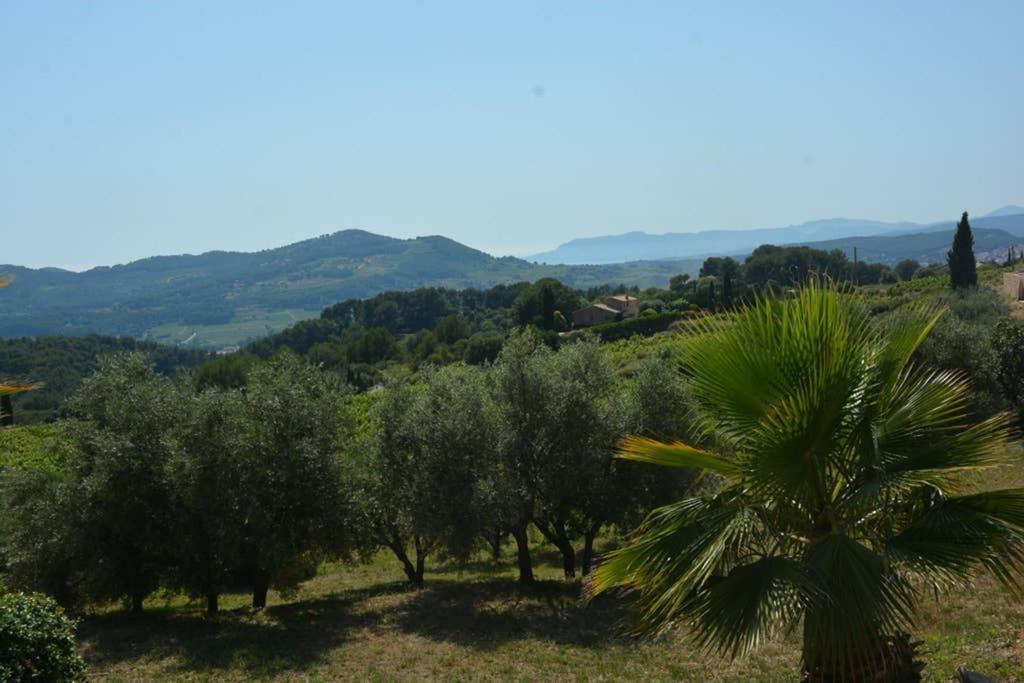 La Venturonne Appartement Neuf Rez De Jardin 45 M2 Vue Mer Et Vignes 10 Mn Des Plages Le Beausset Eksteriør bilde