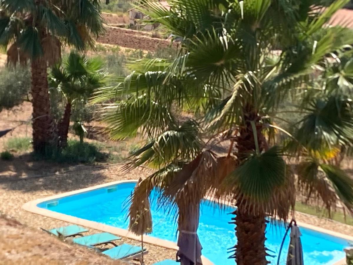 La Venturonne Appartement Neuf Rez De Jardin 45 M2 Vue Mer Et Vignes 10 Mn Des Plages Le Beausset Eksteriør bilde